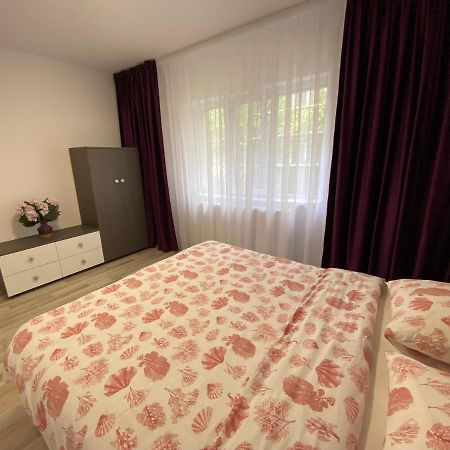 Grove Apartment Buzău Buitenkant foto